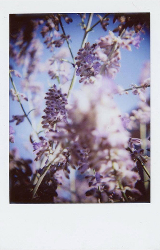 zdjęcia przykładowe z  Rolleiflex Instant Kamera
