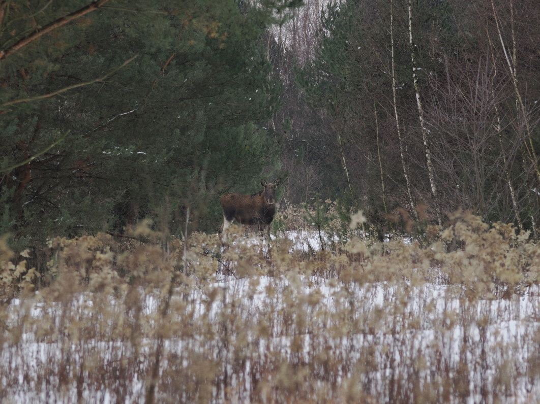 1/400 s, f/5.6, ISO 800, 150 mm