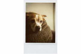 zdjęcia przykładowe z  Rolleiflex Instant Kamera