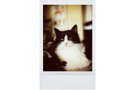 zdjęcia przykładowe z  Rolleiflex Instant Kamera