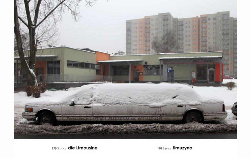 Andrzej Tobis A-Z. Słownik ilustrowany języka niemieckiego i polskiego, Fundacja Nowej Kultury Bęc Zmiana / Instytut Adama Mickiewicza 2014