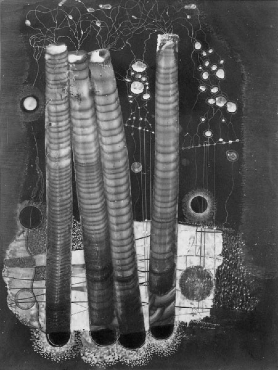 Karol Hiller, bez tytułu,  kompozycja heliograficzna XXV, 1938, 40x30cm, z kolekcji Dariusza Bieńkowskiego