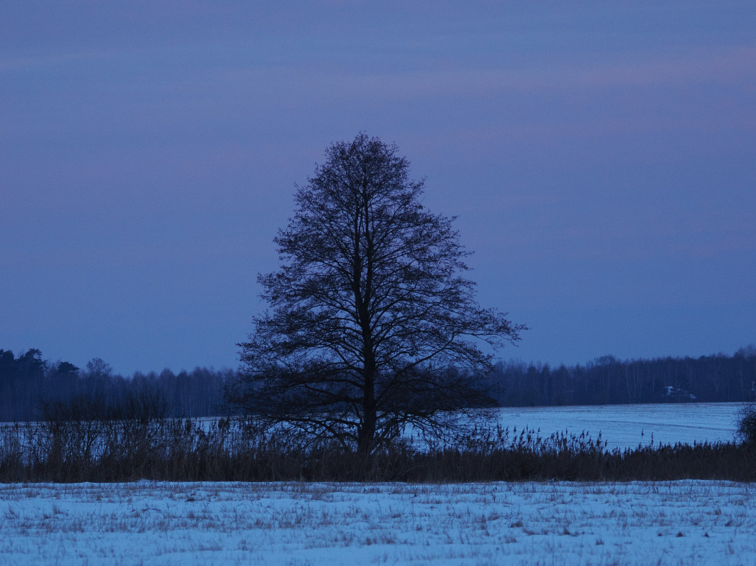 1/200 s, f/5, ISO 1600, 150 mm