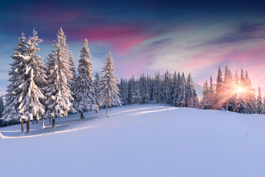 Siedem sposobów na... lepsze  zdjęcia w 7 dni!