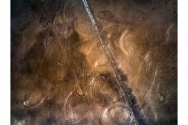 Tom Putt,  3. nagroda w profesjonalnej kategorii Abstract / Fine Art Photography Awards 2020