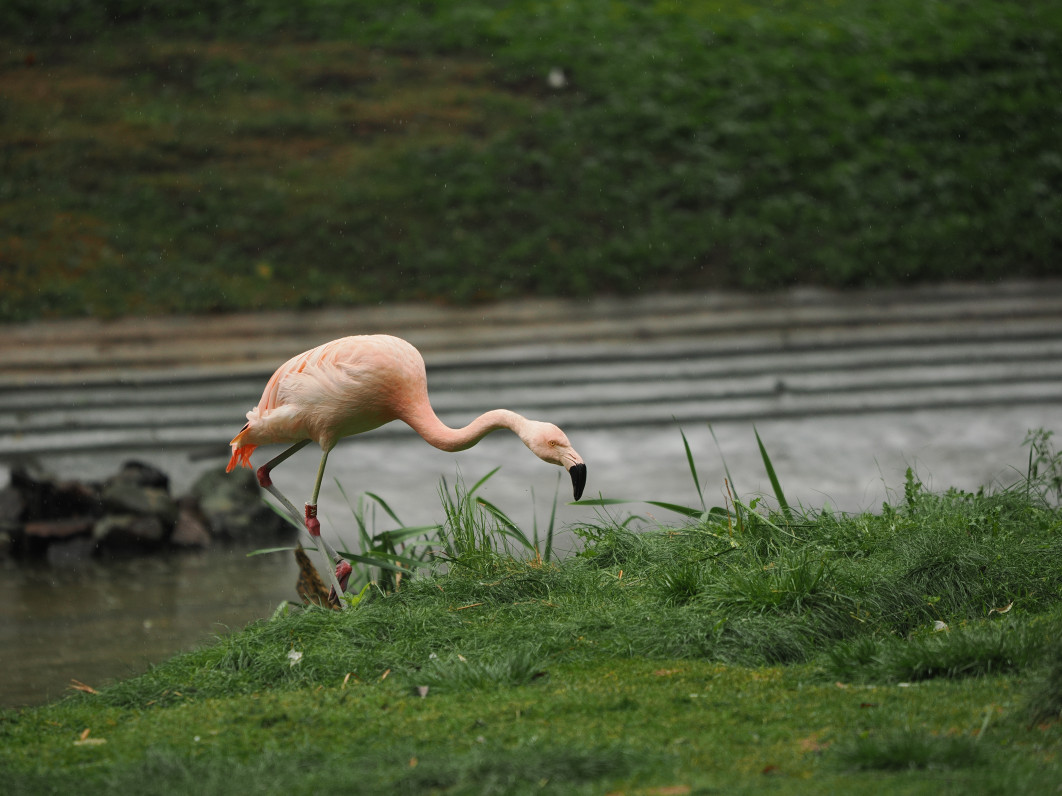 1/1600 s, f/2.8, ISO 400, 200.0 mm