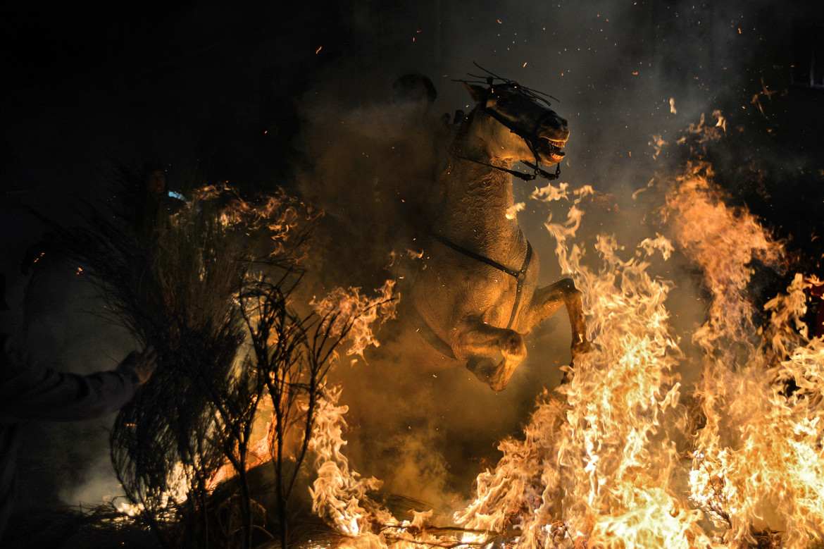 fot. Bartek Jurecki, zgłoszenie w kategorii Photojournalism