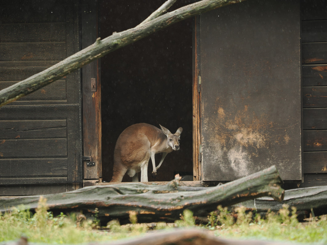 1/640 s, f/2.8, ISO 400, 200.0 mm