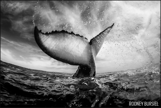 Rodney Bursiel - I miejsce w kategorii WIDE-ANGLE PHOTOGRAPHY