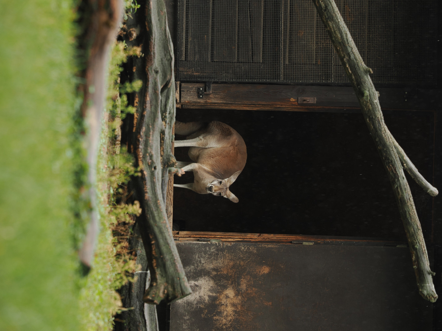 1/320 s, f/4, ISO 200, 200.0 mm