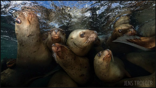 Jens Troeger - III miejsce w kategorii WIDE-ANGLE PHOTOGRAPHY
