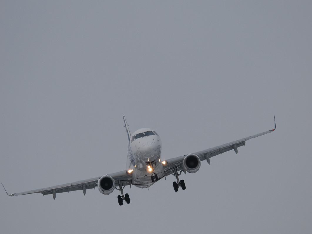 1/1600 s, f/8, ISO 800, 600 mm