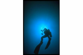 Poparzeni przez meduzy, kończymy nurkowanie w ciepłych wodach Gulf Streamu. FLORYDA, głębokość 15 m. 