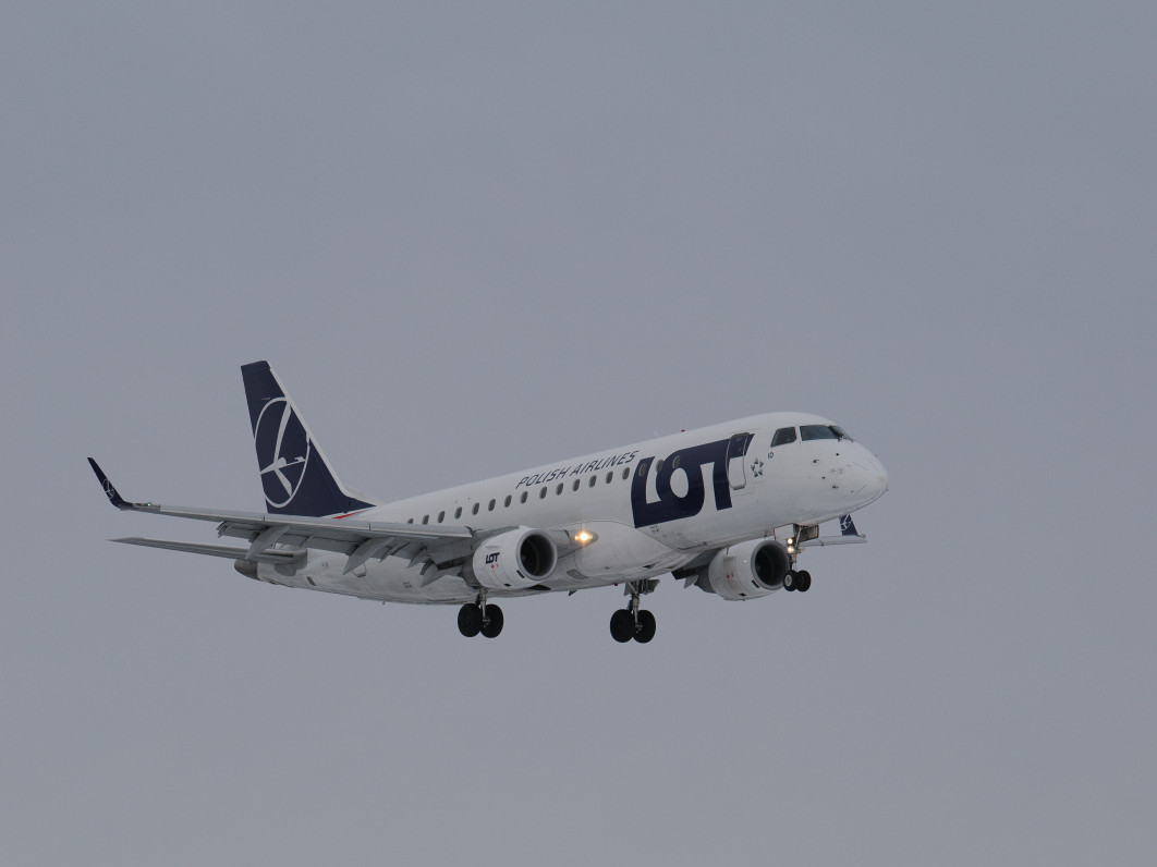 1/1250 s, f/8, ISO 800, 150 mm