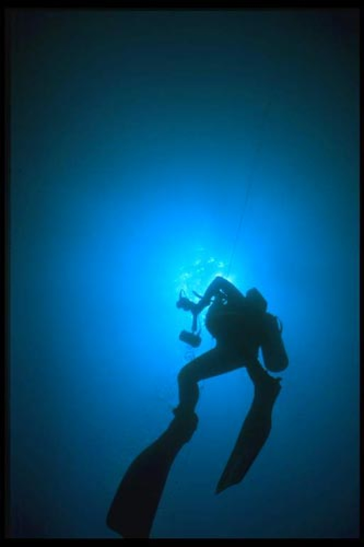 Poparzeni przez meduzy, kończymy nurkowanie w ciepłych wodach Gulf Streamu. FLORYDA, głębokość 15 m. 