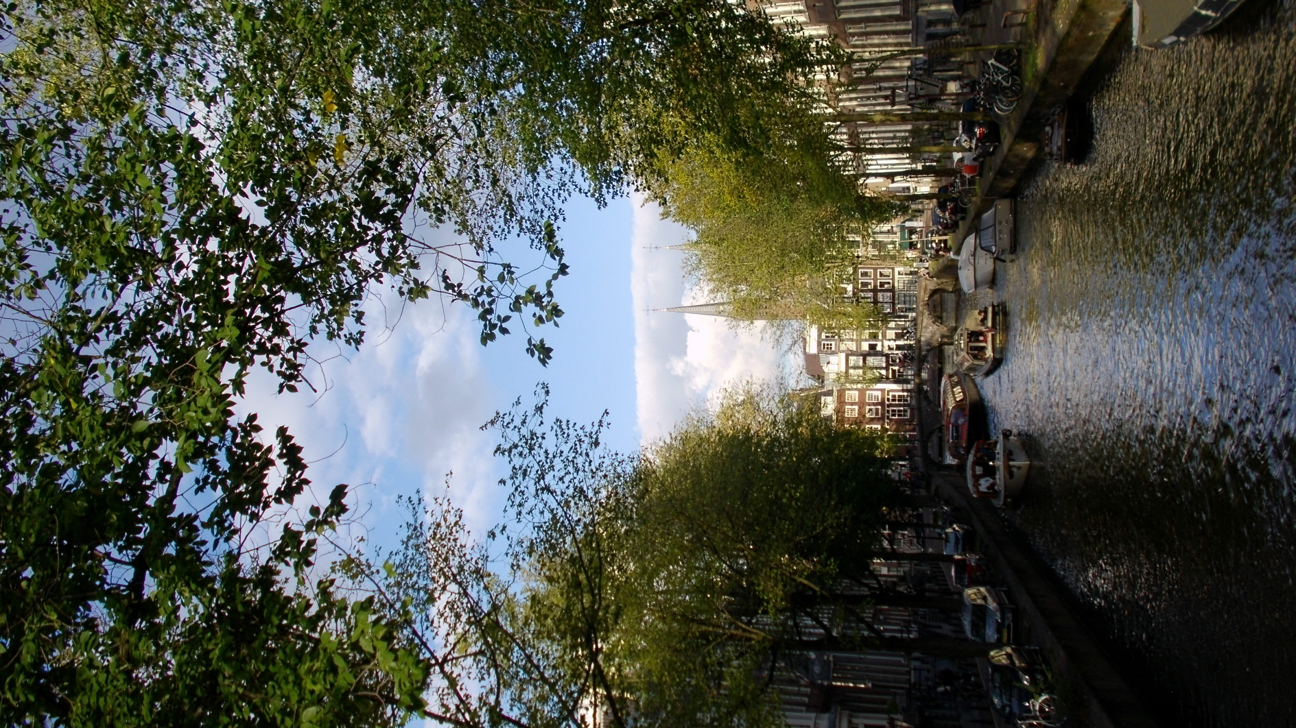 1/320 s, f/3.1, ISO 100, 4.3 mm