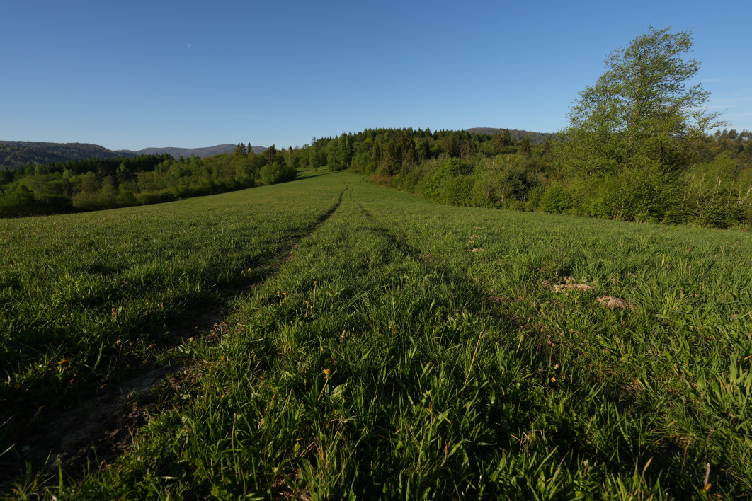1/500 s, f/8, ISO 200, 16.0 mm
