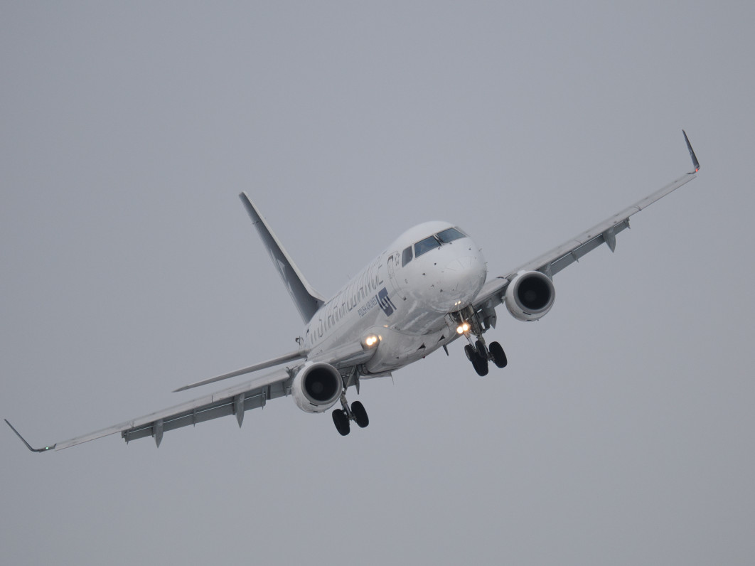 1/1600 s, f/6.3, ISO 800, 600 mm