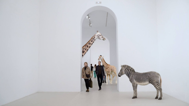 Zbliża się 25. Międzynarodowy Festiwal Fotografii w Łodzi. Sprawdź, co w programie