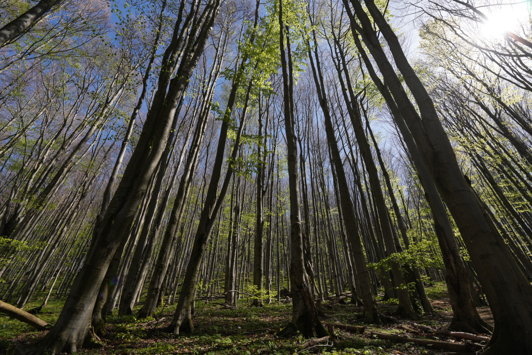 1/2500 s, f/2.8, ISO 200, 17.0 mm