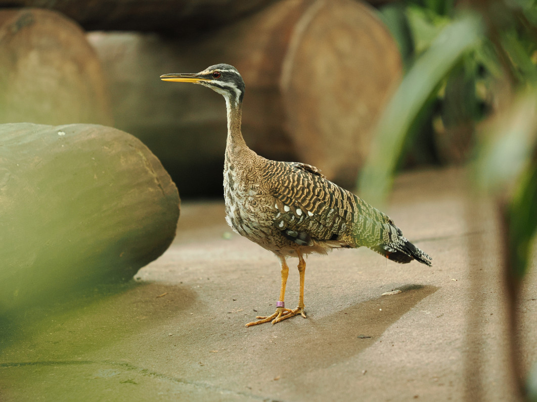 1/125 s, f/2.8, ISO 1600, 179.0 mm