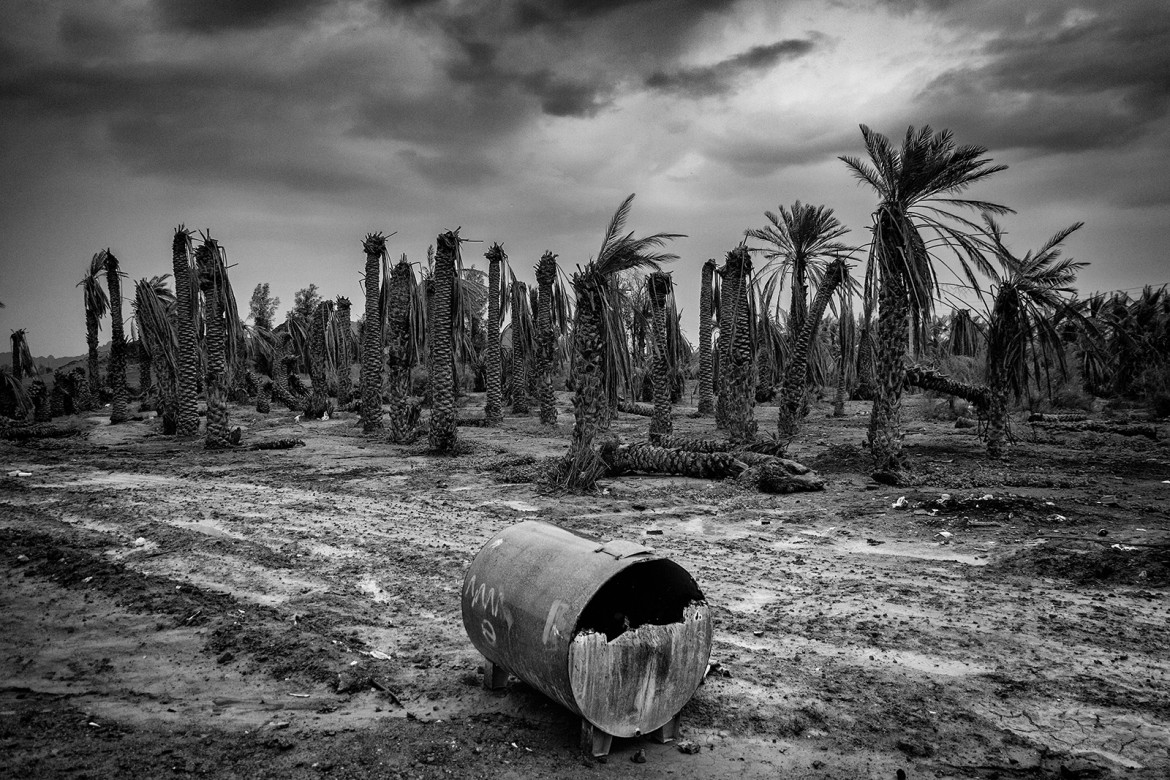 fot. Mohammad Baghal Asghari, z projektu "Forgotten Dried Land"