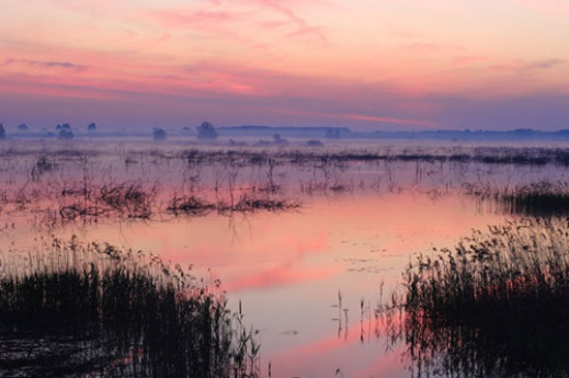 Bagna i jeziora Polesia w Muzeum Ziemi PAN