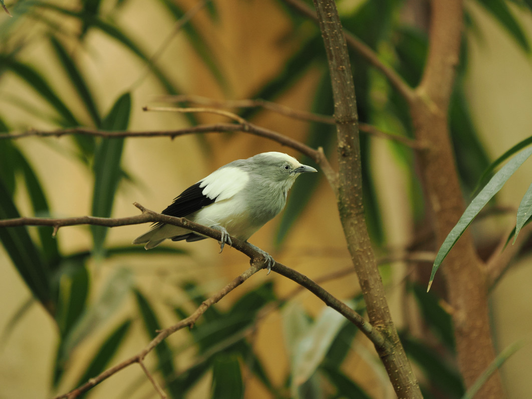 1/100 s, f/2.8, ISO 800, 200.0 mm