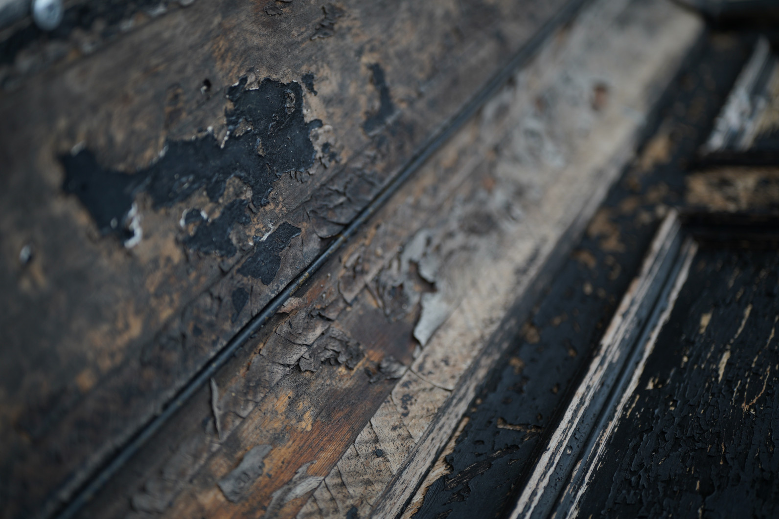 1/320 s, f/1.8, ISO 100, 45.0 mm