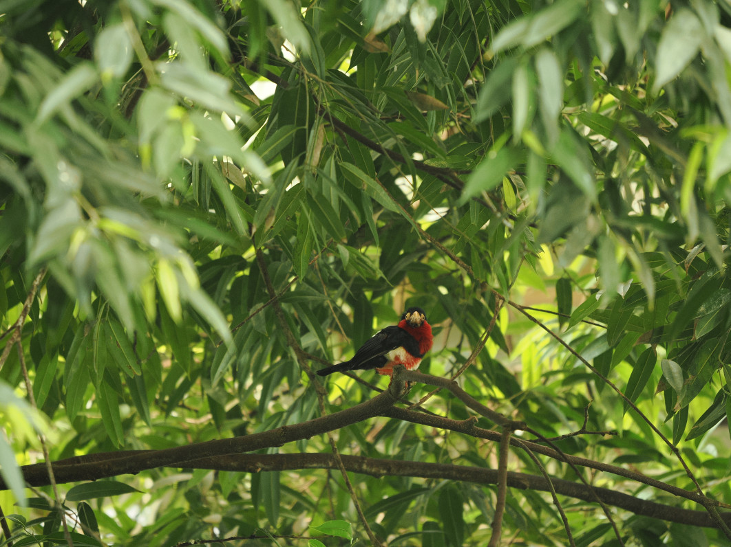 1/125 s, f/2.8, ISO 1600, 200.0 mm