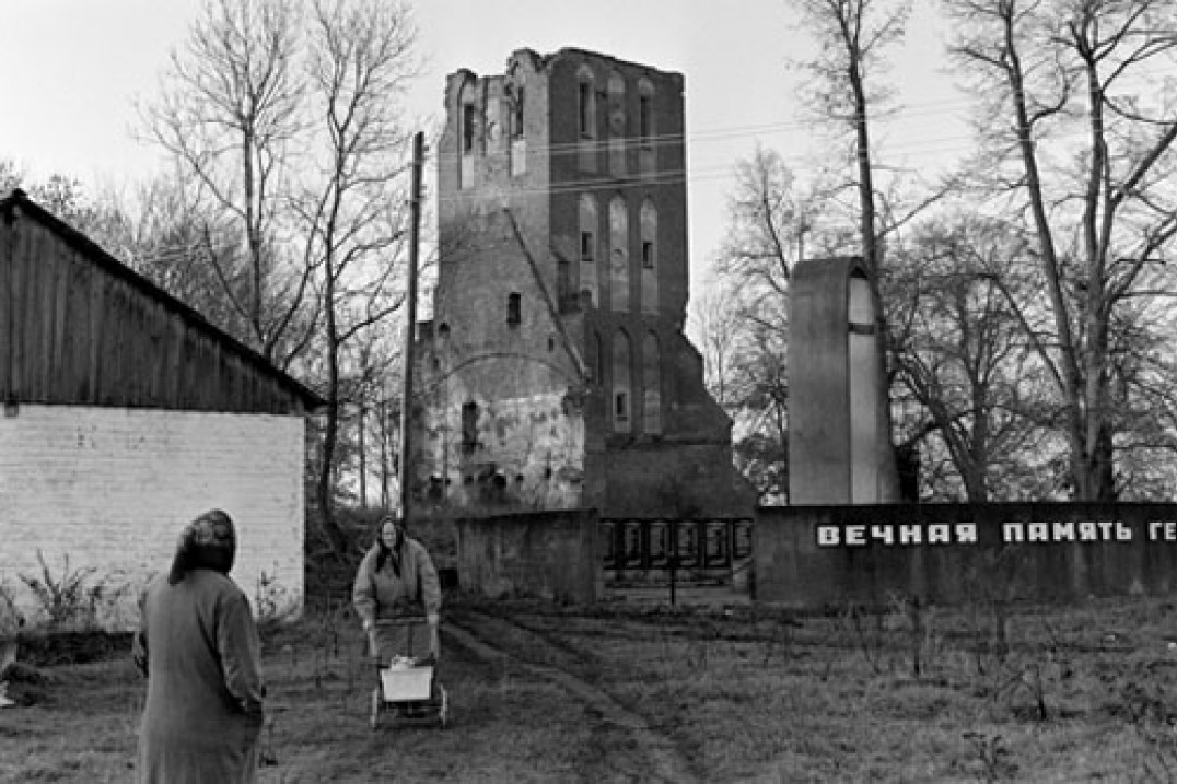 Królewiec Dmitriego Vyshemirsky'ego