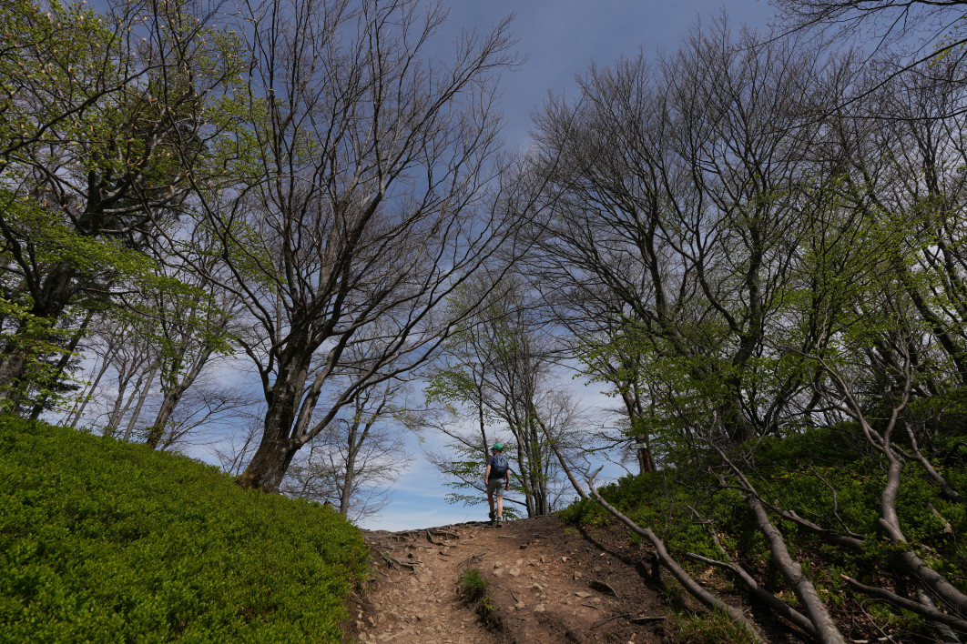 1/4000 s, f/3.5, ISO 200, 17.0 mm