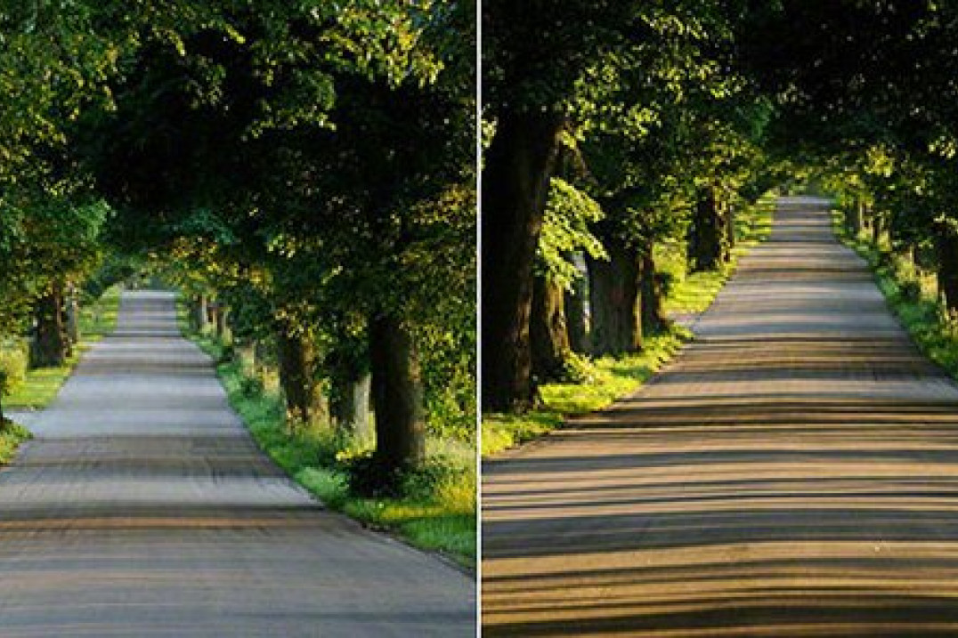 "10 rad jak nie popełniać fotograficznych błędów" - rady Pawła Dumy z Akademii Nikona