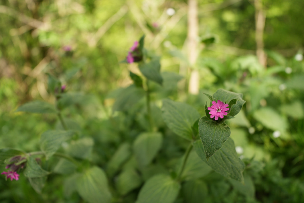 1/800 s, f/2.8, ISO 200, 25.0 mm