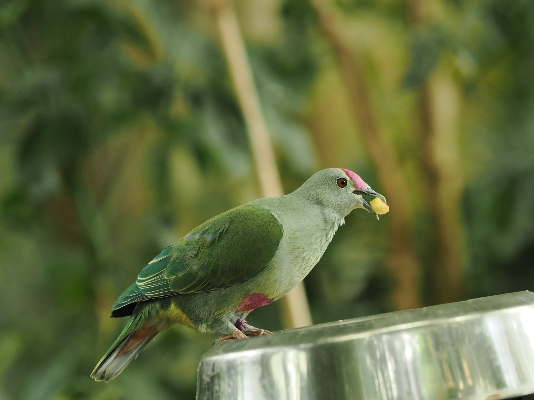 1/250 s, f/2.8, ISO 1600, 144.0 mm