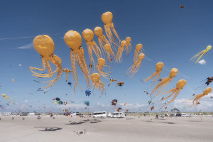 Oto zwycięskie zdjęcia pojedyncze konkursu Sony World Photography Awards 2025 