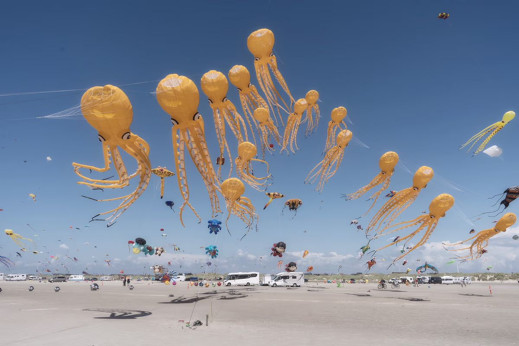 Oto zwycięskie zdjęcia pojedyncze konkursu Sony World Photography Awards 2025 
