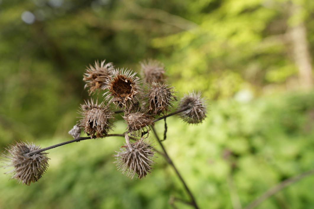 1/400 s, f/4, ISO 200, 24.0 mm