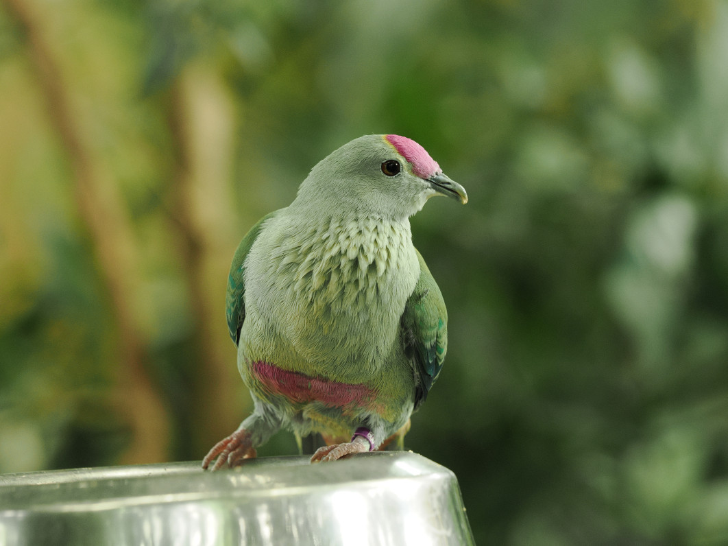 1/100 s, f/4, ISO 1600, 200.0 mm