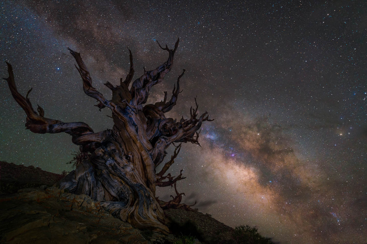 fot. Jez Hughes, "Gurarding the Galaxy" / Insight Investment Astronomy Photographer of the Year 2018