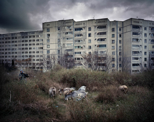 fot. Rafał Milach