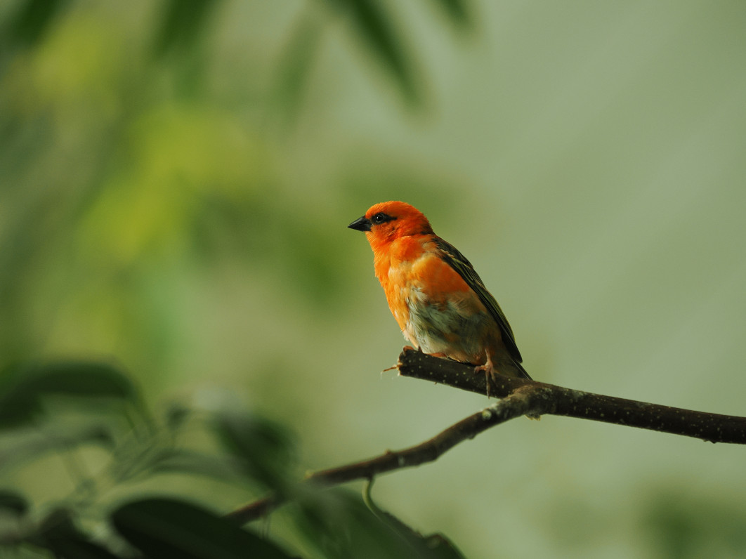 1/100 s, f/2.8, ISO 800, 200.0 mm