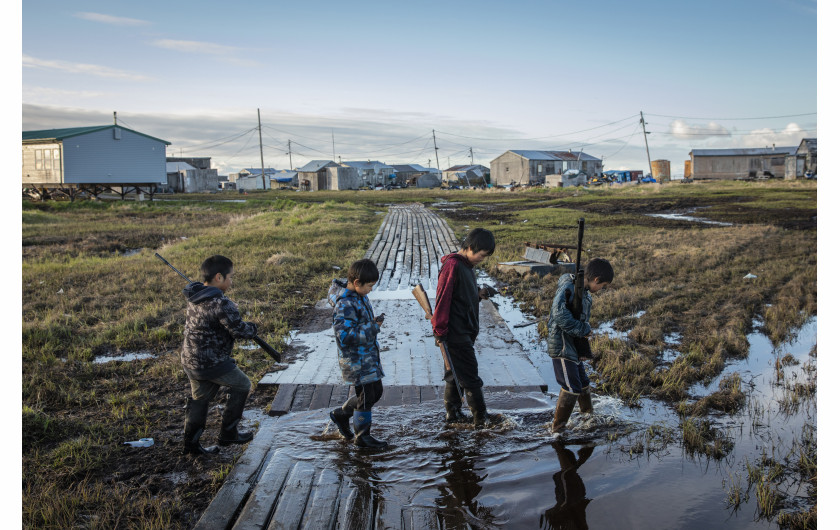 fot. Katie Orlinsky / National Geographic, z cyklu The Carbon Threat, 3. miejsce w kategorii EnvironmentNa skutek działalności człowieka arktyczna wieczna zmarzlina topnieje w dużo szybszym tempie niż przewidywali klimatolodzy. Topiąc się uwalniają związki węgla, a to dodatkowo przyspiesza globalne ocieplenie. Wieczna zmarzlina to zamarznięta gleba, która pokrywa 24% masy lądowej półkuli północnej, obejmując rozległe obszary terytorium na Alasce, Kanadzie, Syberii i Grenlandii. Jest to połączenie gleby, skał i piasku utrzymywane razem przez lód i zawierające duże ilości zamrożonego węgla roślinnego, który się nie rozkłada. W miarę topnienia wiecznej zmarzliny ten materiał gnije, uwalniając dwutlenek węgla i metan. Metan może być od 25 do 86 razy silniejszy niż CO2 jako gaz cieplarniany, w zależności od przedziału czasowego pomiaru. Odwilż dotyka ludzi mieszkających w regionie - szczególnie społeczności tubylcze, które żyją zgodnie z wielowiekowym stylem życia. Rozmarzanie wiecznej zmarzliny osłabia fundamenty domów i powoduje podtopienia piwnic lodowych (domowe zamrażarki wykopane w wiecznej zmarzlinie).