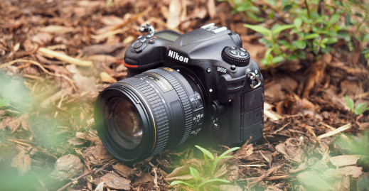 Nikon D500 - test aparatu