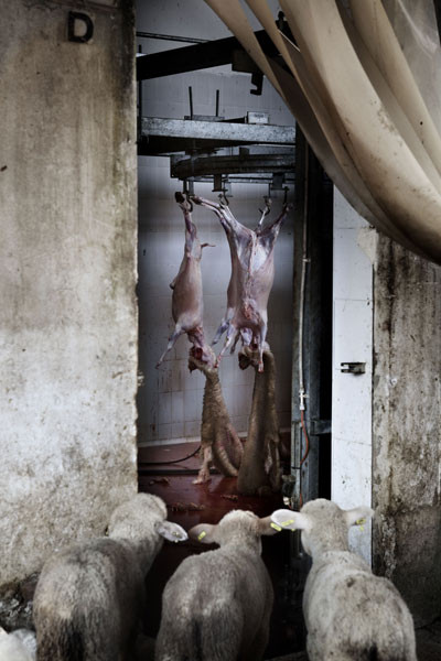 Sony World Photography Awards 2010 - zwycięzcy