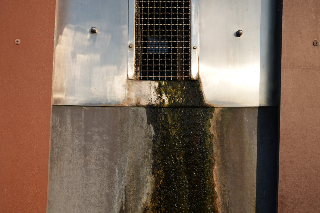 1/250 s, f/8, ISO 100, 35 mm 