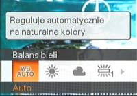 &quot;Fotografowanie kompaktami&quot; - poradnik dla zupełnie początkujących, część 4. - balans bieli, czułość, autofokus, stabilizacja - po co to wszystko?