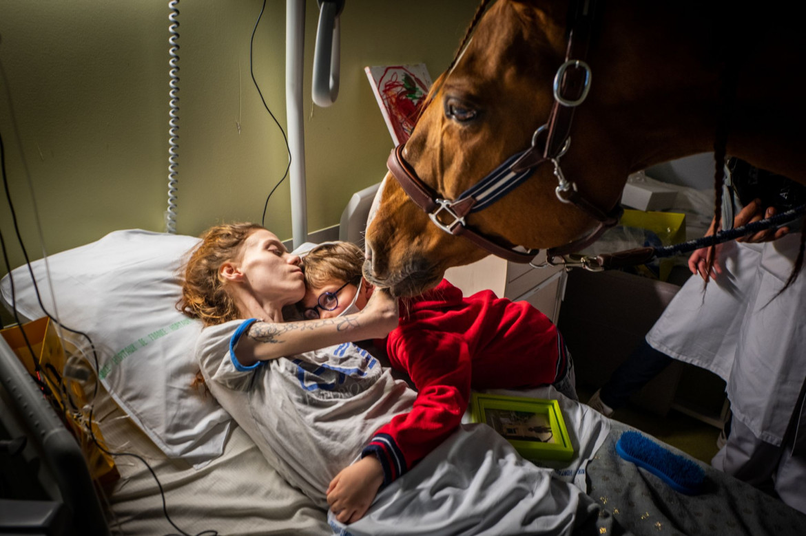 fot. Jérémy Lempin, Francja, "Doctor Peyo and Mister Hassen", nominacja w kategorii Contemporary issues - zdjęcie pojedyncze / World Press Photo 2021<br></br><br></br>Chora na raka z przerzutami Manon (24 lata) obejmuje swojego syna Ethana (7 lat) w obecności Peyo - konia używanego w terapii z udziałem zwierząt, Séléne Palliative Care Unit w Centre Hospitalier de Calais w Calais we Francji, 30 listopada 2020.<br></br><br></br>Terapia z udziałem zwierząt jest stosowana w wielu środowiskach klinicznych, zwłaszcza w terapii psychologicznej i opiece paliatywnej. Wydaje się, że zwierzęta są zdolne do zmniejszania lęku i stresu, a także do wywierania skutków fizycznych, takich jak obniżenie ciśnienia krwi, poprawa tętna lub pomoc w leczeniu bólu. Celem hospicjów jest wykorzystanie naturalnej więzi między ludźmi a zwierzętami, aby zapewnić komfort, spokój i towarzystwo nieuleczalnie chorym pacjentom.<br></br><br></br>Peyo współpracuje ze swoim trenerem Hassenem Bouchakou w Les Sabots du Coeur, organizacji zajmującej się terapią z udziałem zwierząt i badaniami naukowymi na ten temat. Każdego miesiąca wspiera około 20 pacjentów, a naukowcy badają teraz jego instynktowną zdolność wykrywania nowotworów i nowotworów.