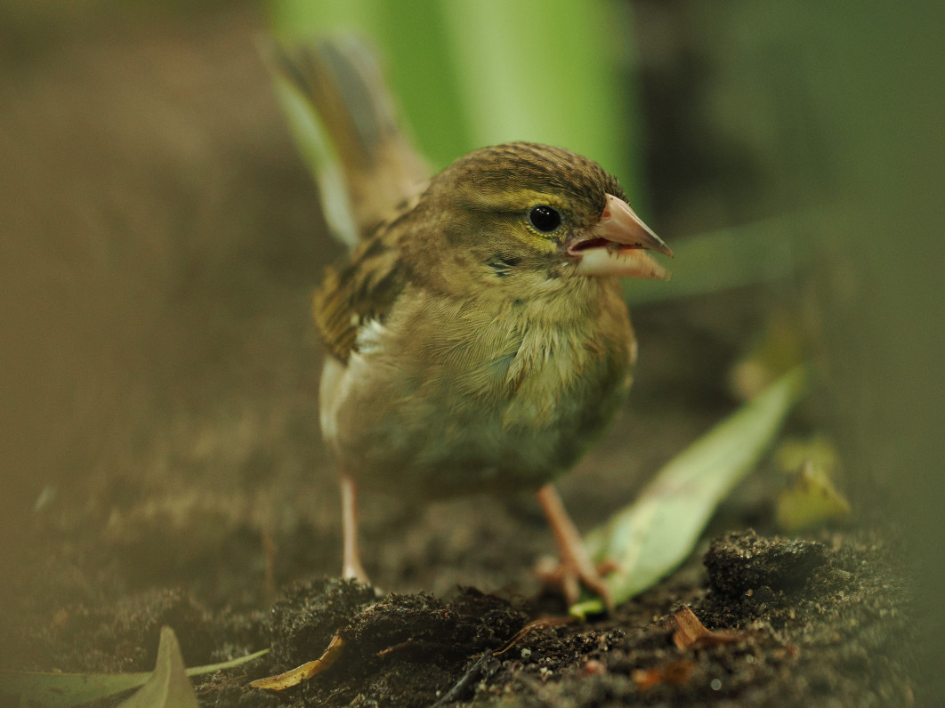 1/80 s, f/2.8, ISO 1600, 179.0 mm
