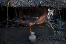 fot. K M Asad, Bangladesz, "Climate Crisis Solutions: Collecting Drinking Water in Kalabogi", 3 miejsce w kategorii Środowisko - zdjęcie pojedyncze / World Press Photo 2021<br></br><br></br>Kobieta czerpie wodę pitną ze szmatki wystawionej na poranną rosę we wsi Kalabogi, w lasach namorzynowych Sundarbans w Zatoce Bengalskiej w Bangladeszu, 27 września 2020 r.<br></br><br></br>Mieszkańcy Kalabogi i regionu Sundarbans cierpią na niedobór wody w porze suchej w wyniku rosnącego zasolenia wód gruntowych i rzeki Satkhira, spowodowanego podnoszącym się poziomem mórz. Domy we wsiach takich jak Kalabogi wznosi się na słupach, aby uniknąć częstych powodzi.<br></br><br></br>W raporcie Banku Światowego z 2016 r. stwierdzono, że kryzys klimatyczny stwarza szereg zagrożeń dla Sundarbanów, w tym podnoszenie się poziomu mórz oraz częstotliwość i intensywność burz. Satelity odkryły, że w niektórych częściach regionu poziom morza przesuwa się o 200 metrów rocznie. Badania naukowe wskazują, że około 20 milionów ludzi mieszkających na wybrzeżu Bangladeszu jest dotkniętych zasoleniem wody pitnej. Ponad połowa obszarów przybrzeżnych jest dotknięta zasoleniem, które zmniejsza produktywność gleby i wzrost roślinności, degradując środowisko i wpływając na życie i źródła utrzymania ludzi. Pola ryżowe i grunty uprawne są przekształcane w hodowle krewetek, co dodatkowo przyczynia się do zasolenia wód gruntowych i degradacji gleby.